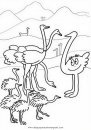 animales/animales_varios/avestruz_2.JPG