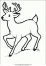 animales/animales_varios/ciervo_1.JPG