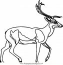 animales/animales_varios/ciervo_7.JPG