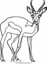 animales/animales_varios/ciervo_9.JPG