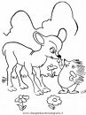 animales/animales_varios/erizo_erizos_1.JPG