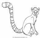 animales/animales_varios/lemur_7.JPG