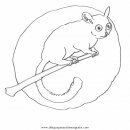 animales/animales_varios/lemur_8.JPG