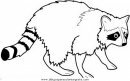 animales/animales_varios/mapache_5.JPG