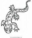 animales/animales_varios/salamandra_3.JPG