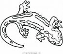 animales/animales_varios/salamandra_5.JPG