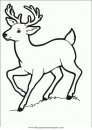 animales/animales_varios/venado_venados_1.JPG