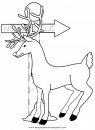animales/animales_varios/venado_venados_4.JPG