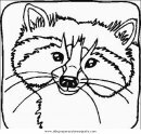 animales/animales_varios/zorra_2.JPG