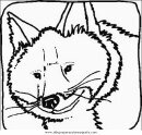 animales/animales_varios/zorra_3.JPG