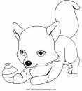 animales/animales_varios/zorra_7.JPG