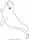 animales/ballenas/ballena_ballenas_03.JPG