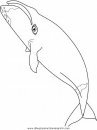 animales/ballenas/ballena_ballenas_04.JPG