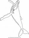 animales/ballenas/ballena_ballenas_07.JPG
