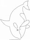 animales/ballenas/ballena_ballenas_08.JPG