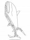 animales/ballenas/ballena_ballenas_11.JPG