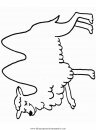 animales/camellos/camellos_02.JPG