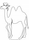 animales/camellos/camellos_04.JPG