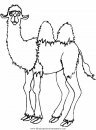 animales/camellos/camellos_05.JPG