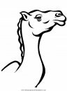 animales/camellos/camellos_06.JPG