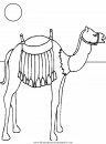 animales/camellos/camellos_07.JPG