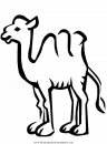animales/camellos/camellos_08.JPG