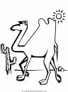 animales/camellos/camellos_09.JPG