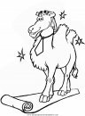 animales/camellos/camellos_10.JPG