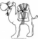 animales/camellos/camellos_22.JPG