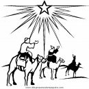 animales/camellos/camellos_25.JPG