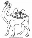 animales/camellos/camellos_28.JPG