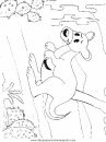 animales/canguros/canguros_50.JPG