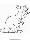 animales/canguros/canguros_52.JPG