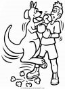 animales/canguros/canguros_56.JPG