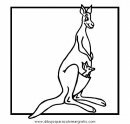 animales/canguros/canguros_58.JPG