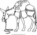 animales/cavallos/cavallos_01.JPG