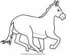 animales/cavallos/cavallos_03.JPG