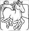 animales/cavallos/cavallos_06.JPG