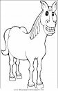 animales/cavallos/cavallos_10.JPG