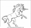 animales/cavallos/cavallos_12.JPG