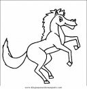 animales/cavallos/cavallos_17.JPG