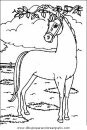 animales/cavallos/cavallos_18.JPG