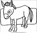 animales/cavallos/cavallos_39.JPG