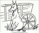 animales/cavallos/cavallos_41.JPG