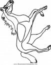 animales/cavallos/cavallos_43.JPG