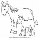 animales/cavallos/cavallos_54.JPG