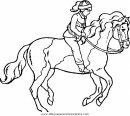 animales/cavallos/cavallos_60.JPG