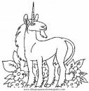 animales/cavallos/cavallos_79.JPG