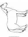 animales/cavallos/cavallos_83.JPG