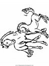 animales/cavallos/cavallos_85.JPG